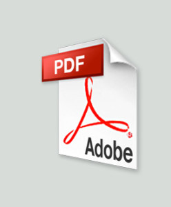pdf-icon